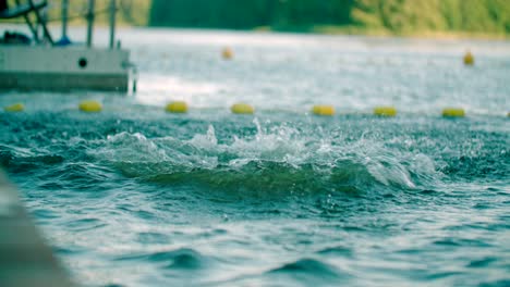 kind jumps into the water making outburst a water splash