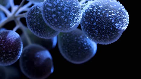 uvas congeladas con gotas de agua