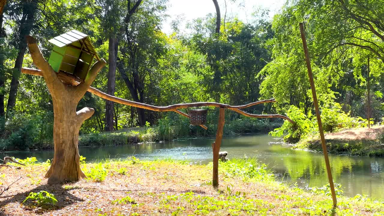 나무와 줄로 된 기본 보호구역