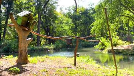 gibbon enclosure with trees and ropes