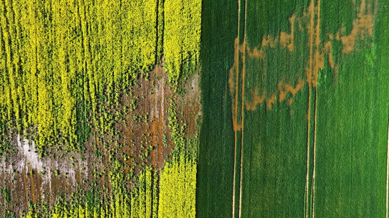 High altitude drone footage shows the different color shades across agricultural fields.