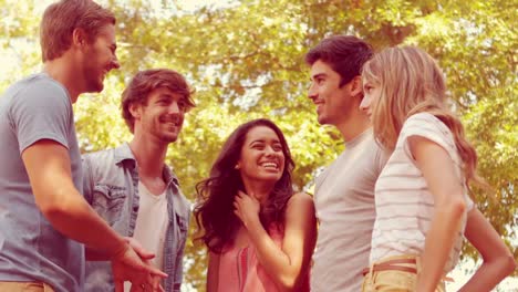 un grupo feliz de amigos mirando a la cámara en el parque