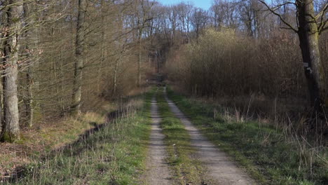 Handheld-shot-of-lonely-path-in-haunted-look-like-woods-in-France