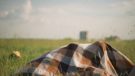 a woman in a blue gown, her face not visible, holds a plaid scarf as the wind blows it in a grassy field. two children in white shirts play beneath the scarf, laughing as the woman covers them with it