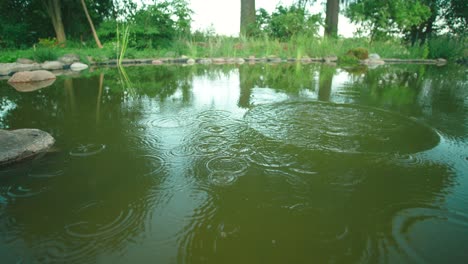 tirar una piedra a un lago