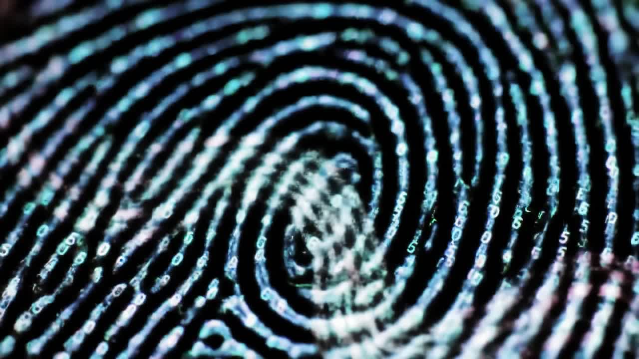 Observing the detailed patterns of a fingerprint, the swirling lines showcase individual identity in striking clarity. Each ridge and valley tells a story of uniqueness and personal identification.