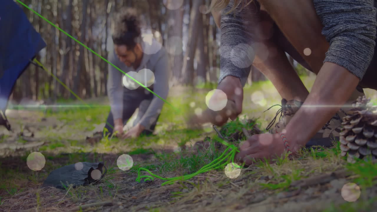 Men hammering green tent stakes with wooden mallet in pine forest, showing animated education chart
