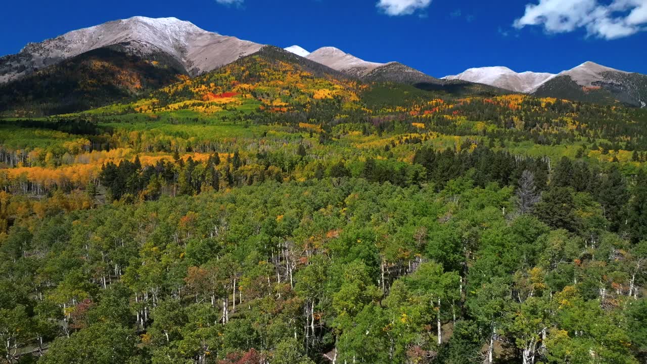 Mt Mount Shavano 14er Tabeguache Peak aerial drone Colorado trail Sawatch Range fall autumn aspen trees San Isabel National Forest snow dusting morning vibrant blue sky camping hike forward pan up