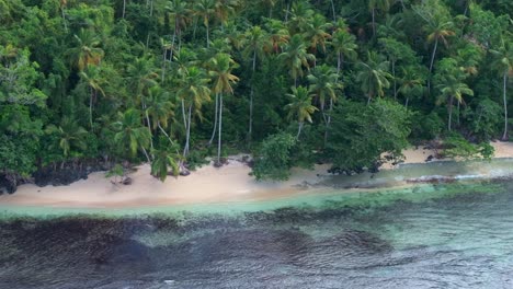 Hidden-Beach-Playita-with-tropical-palm-trees-and-coral-in-clear-water