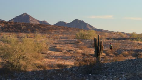 un excursionista masculino con bastones de trekking en el desierto de sonora al atardecer camina de derecha a izquierda a través de la pantalla