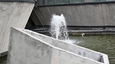 Brunnen-Im-Tropicario,-Botanischer-Garten-Bogotá,-Kolumbien