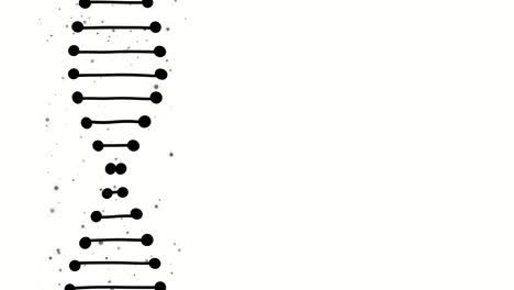 rotating dna glowing molecule on white background. conceptual design of genetic information