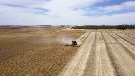 flying directly at a combine harvesting corn in a huge filed of crops