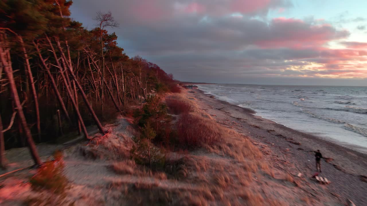 лесная опушка густого леса, окрашенная в красный цвет заходящим солнцем, на пустынном пляже в гируляй в литве на балтийском море недалеко от клайпеды