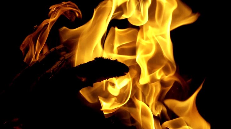 Fuoco che brucia di notte. Legna che brucia. Fuoco al rallentatore.
