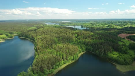 AERIAL:-Forest-that-Looks-like-Africa-Continent-Growing-near-Blue-Lake