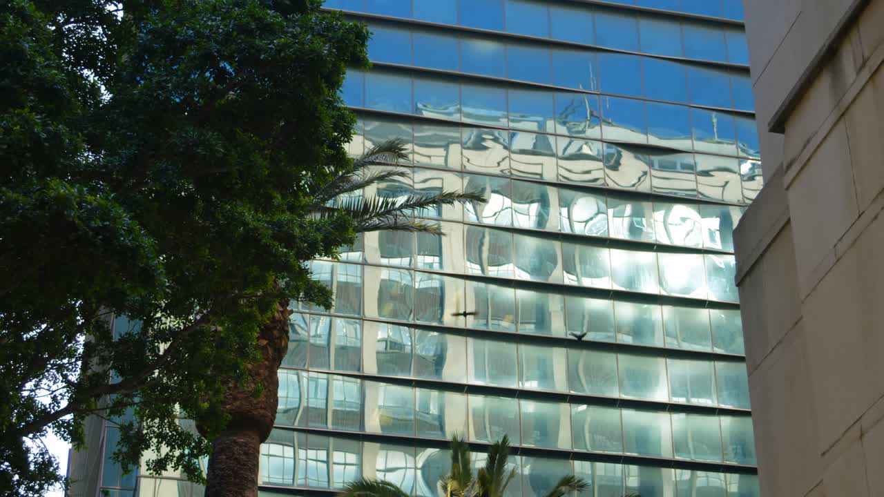 низкий угол обзора офисного здания и дерева 4k