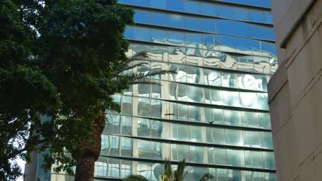 low angle view of office building and tree 4k
