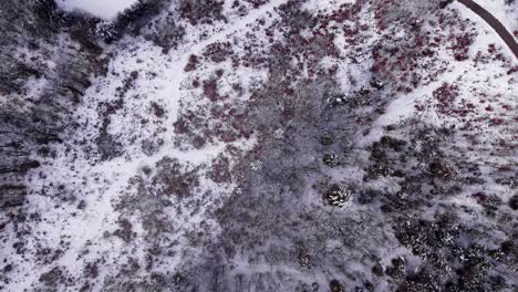 casas con techo cubierto de nieve en un pequeño asentamiento durante el invierno