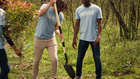 equipo de activistas del cambio climático plantando árboles verdes y semillas en un bosque