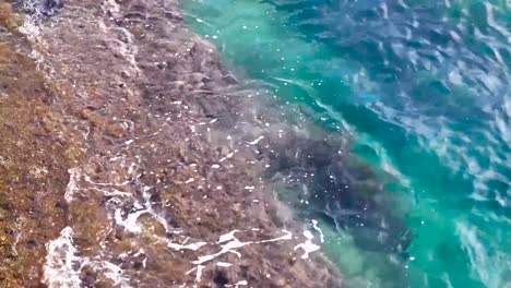 imágenes en cámara lenta de agua azul del océano golpeando una costa rocosa marrón y amarilla