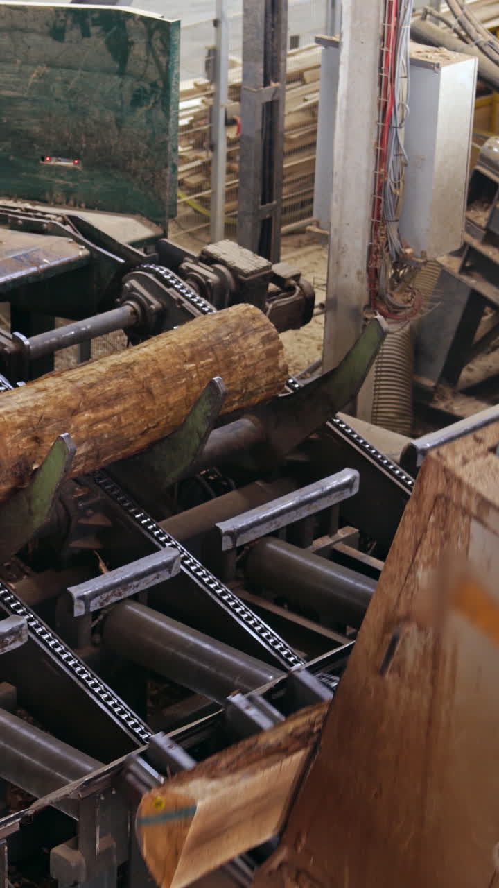 Automated wood cutting machine. Power-saw bench. Industrial woodworking machinery on a sawmill. Sawing timber. Vertical video