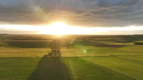 beautifull sunset in nature grass hill landscape