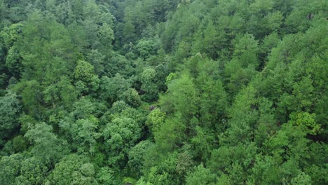 drone video of meghalaya's natural beauty.