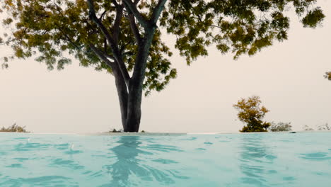 low action camera shot over a empty pool, tilt up to see scale of large tree in the rain