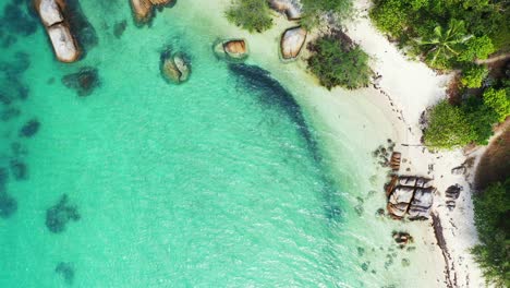 Hermoso-Fondo-De-Playa-Tropical