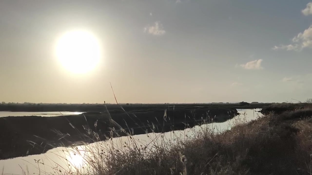 Gylden solnedgang over en rolig flod og marskland