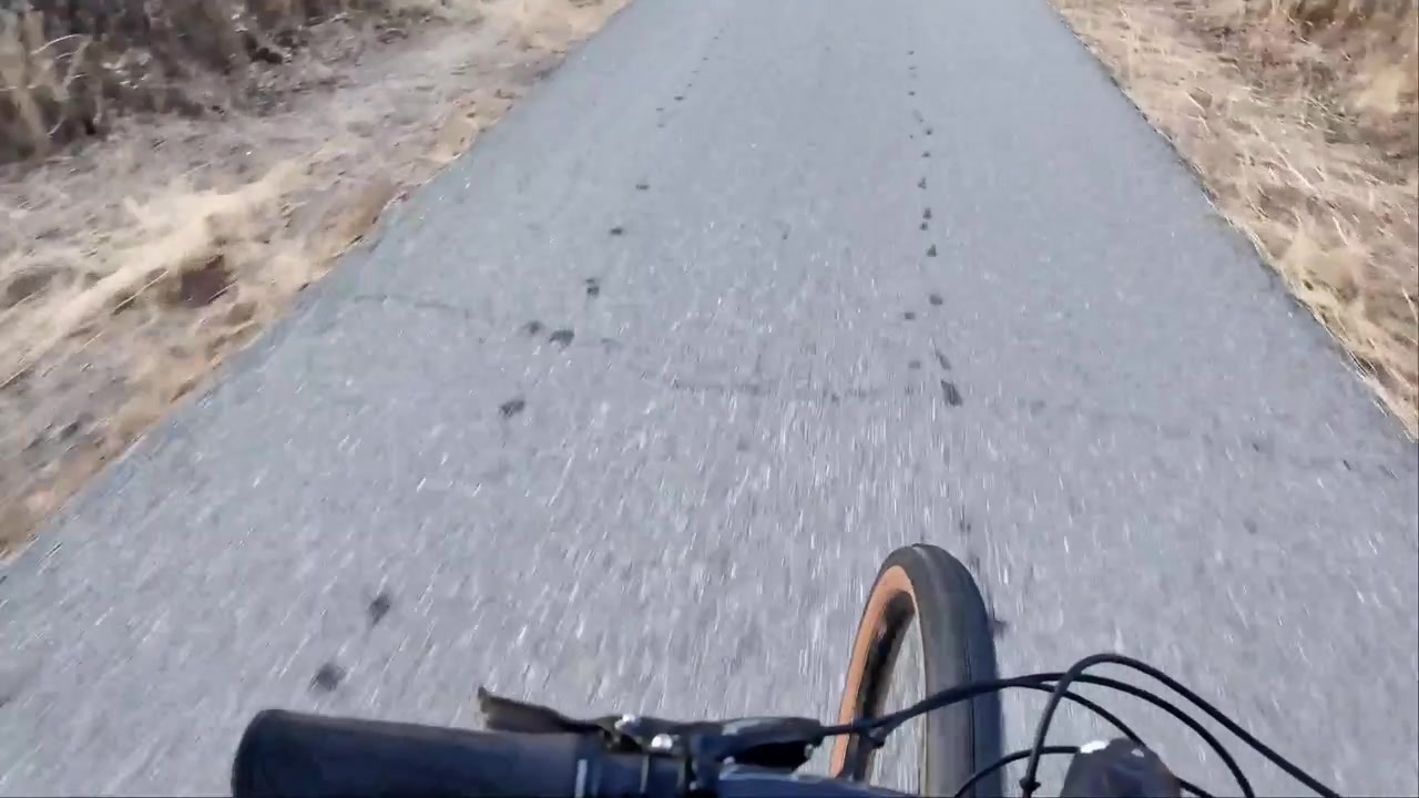 POV di una pedalata su una pista ciclabile in un parco statale.