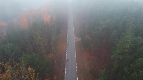 Road-Covered-In-Fog.-Aerial-Germany