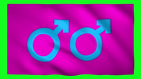 gay and male gender symbol on the flag on green screen for chroma key