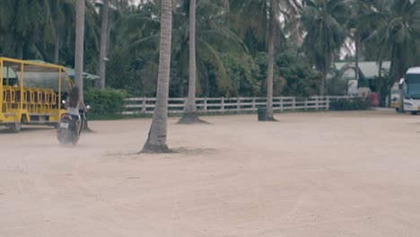 backside-girl-on-motorbike-rides-at-palms-and-tourist-buses