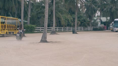 backside girl on motorbike rides at palms and tourist buses