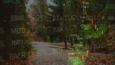 animación de las estadísticas y el procesamiento de datos financieros sobre árboles