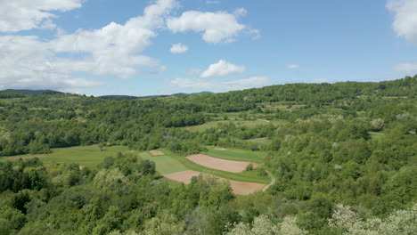 cultivated fields and lush green valley in springtime