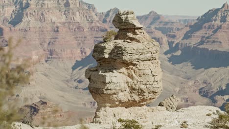 grand canyon national park south rim in arizona with dolly shot moving from tree to reveal rock in canyon