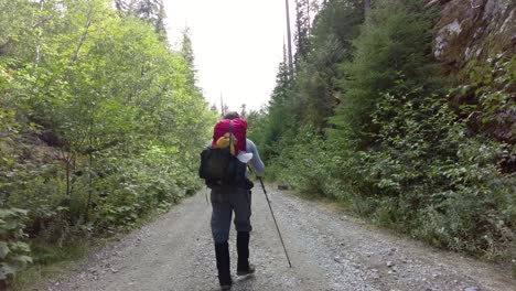 hiker walking down a gravel logging road, vancouver island, canada