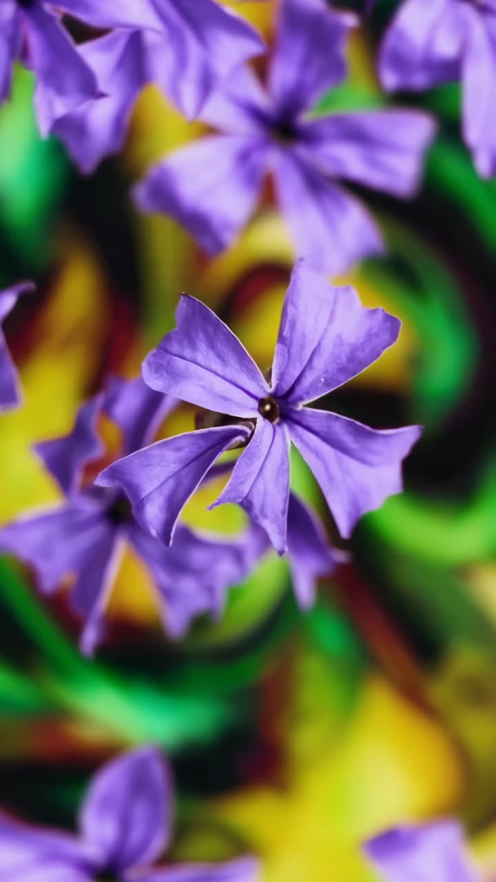 Vibrant Purple Flowers with a Colorful Bokeh Background