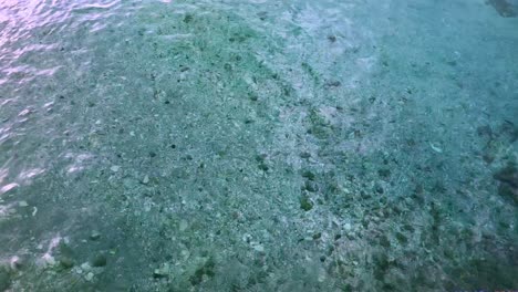 crystal clear waters in the shallows warp and roll, even though the water is nearly 10 feet deep, seems like its only 2 feet deep it so clear in slow motion