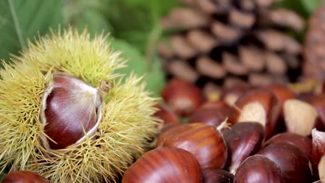 chestnuts and pinecones