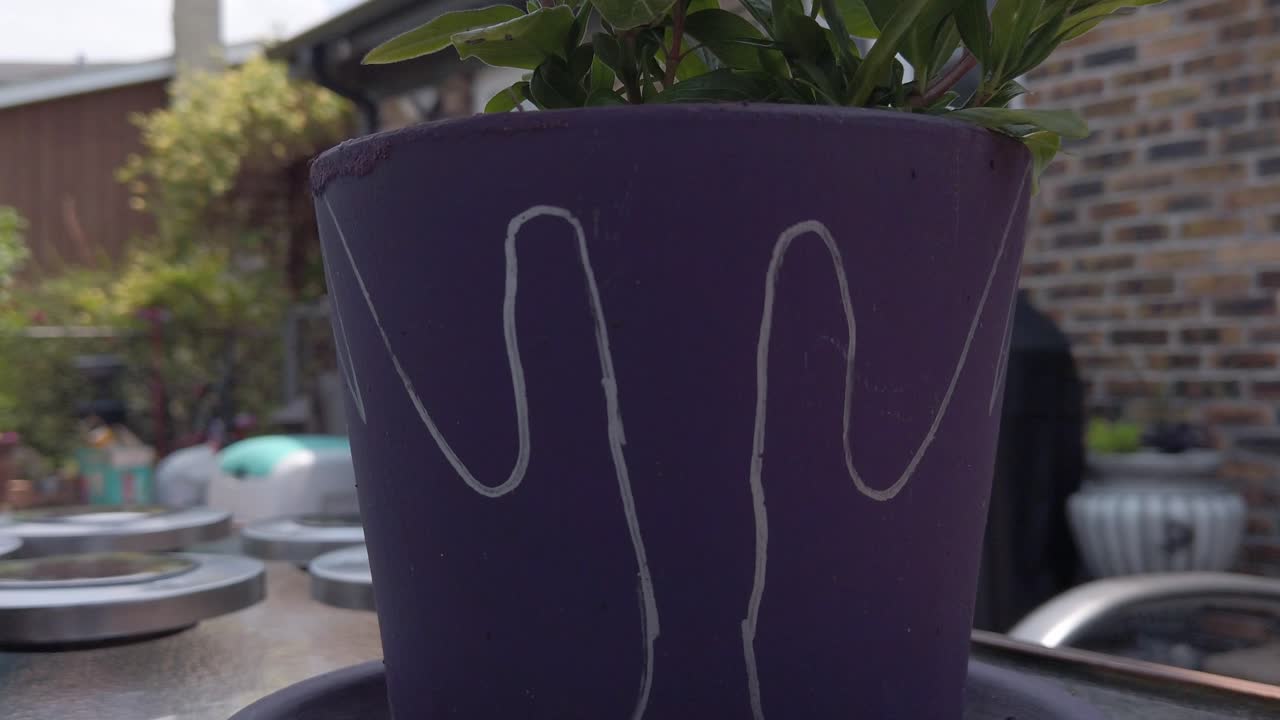 una maceta de flores púrpura cerca moviéndose hacia arriba