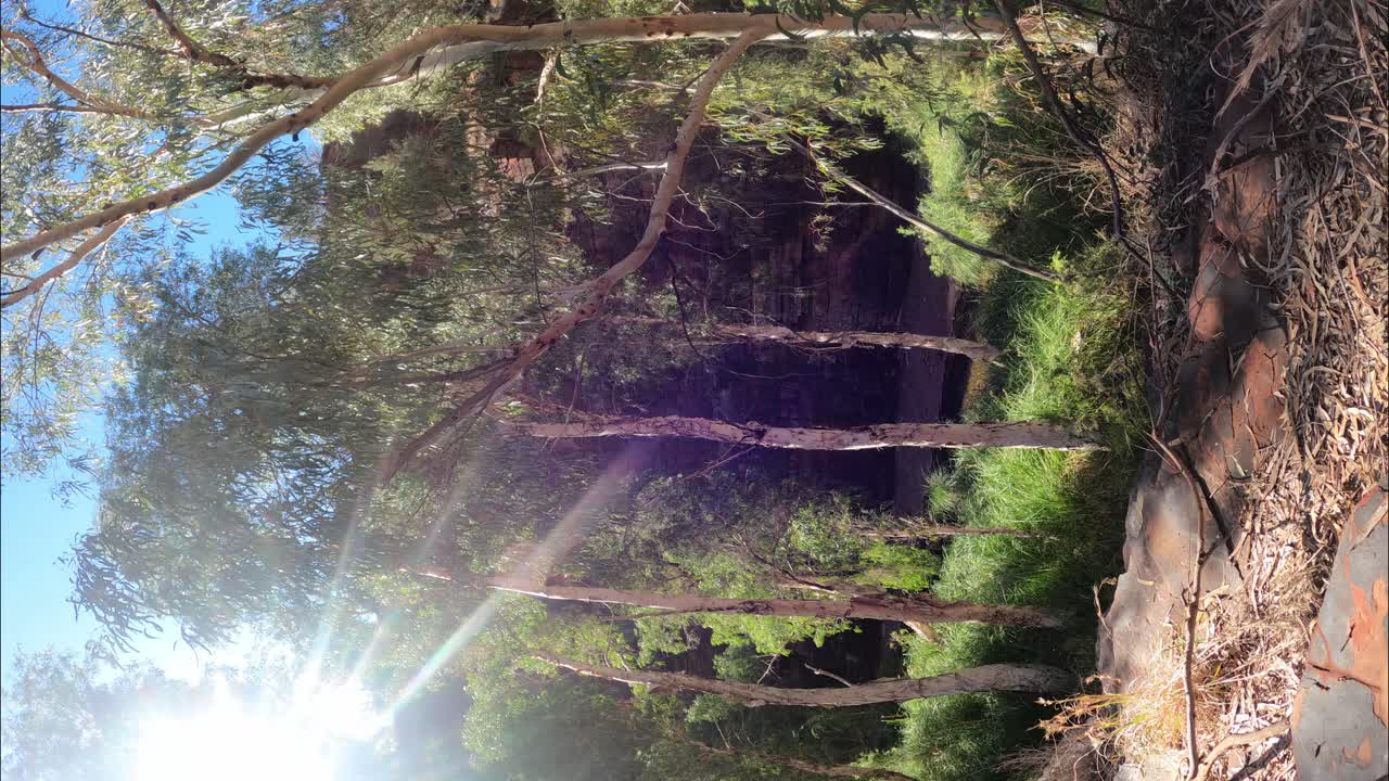 웨스턴 오스트레일리아의 카르지니 국립공원 (karjini national park) 에 있는 레스 협곡의 수직 타임스.