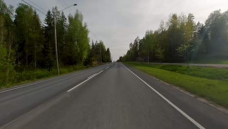 The-car-glides-along-the-asphalt-road,-flanked-by-tall-pine-trees-on-either-side