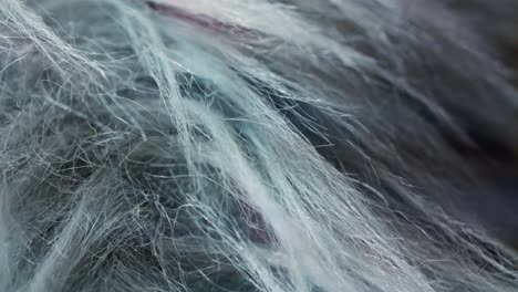 Macro-shot-of-a-fur-structure