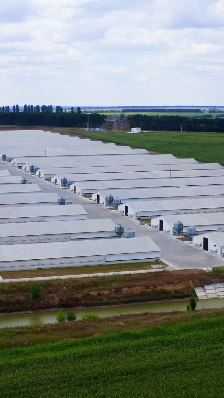 Aerial view of industrial chicken house. Modern farm poultry buildings. Agriculture Vertical video