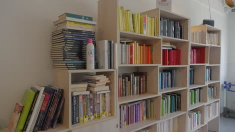 Colorful-bookshelf-in-French-retirement-home