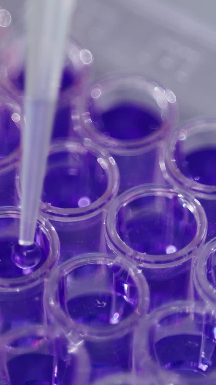 Scientific laboratory experiment